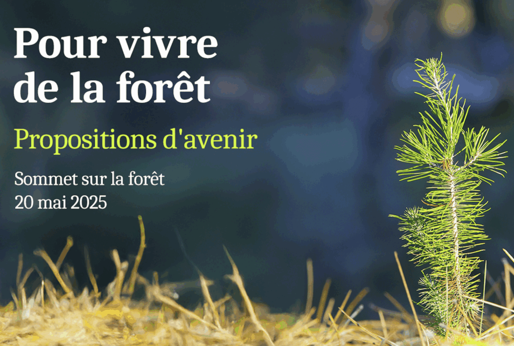 Sommet sur la forêt – Propositions d’avenir